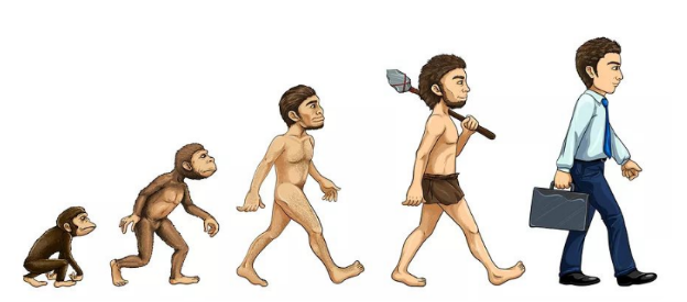 你们要的电动工具终于来啦!